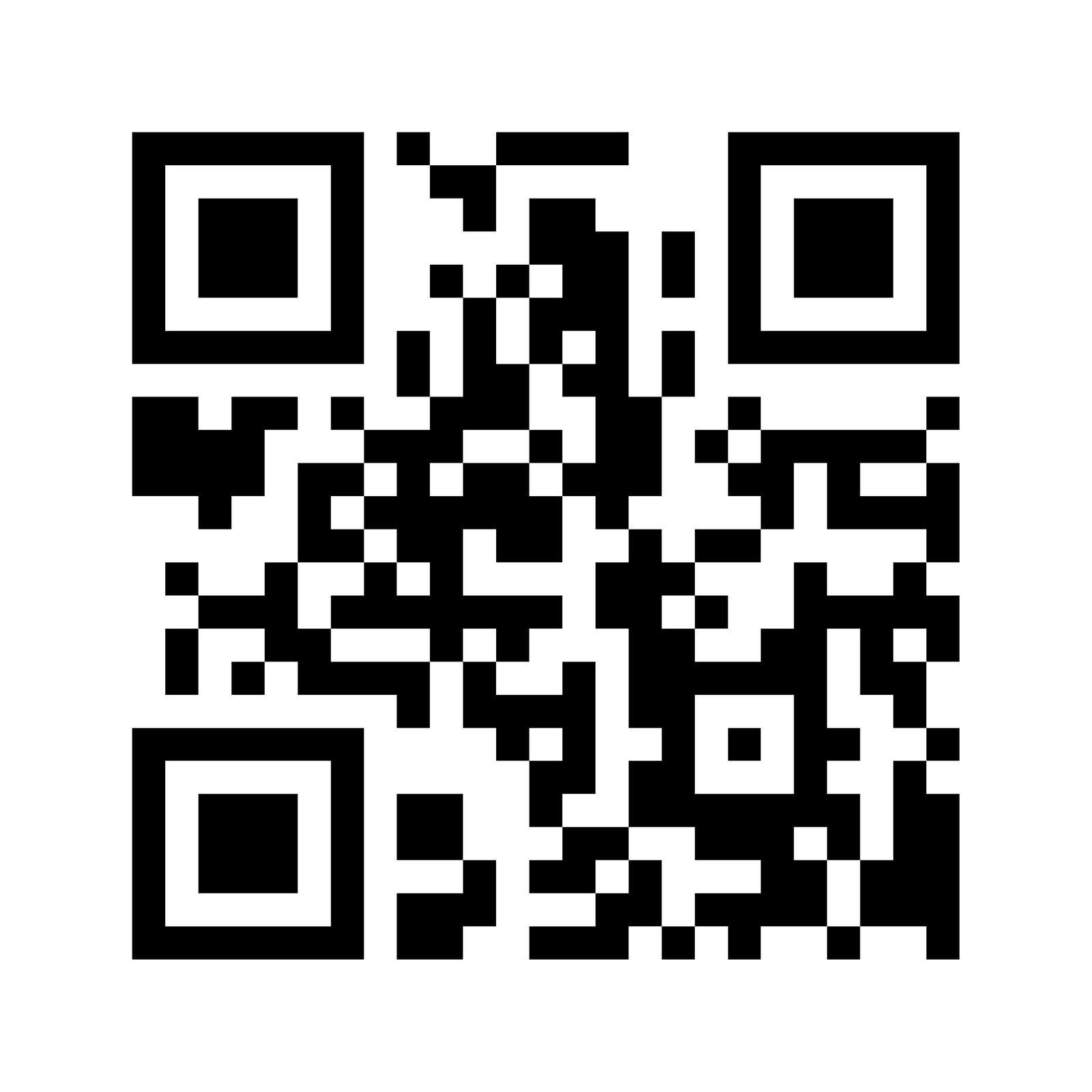 Payment QR preview